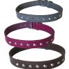 1" Studded Leather Collars