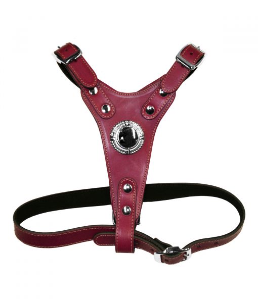 Deluxe Leather Bull Terrier Harness
