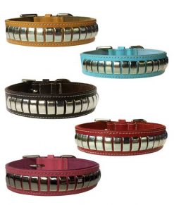Domed Collars