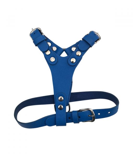 Leather Puppy Harness