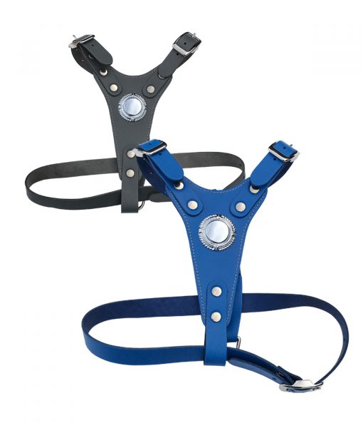 Bull Terrier Leather Harness
