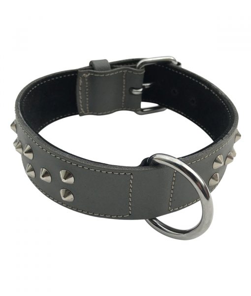 1.5" Wide Studded Leather Collar