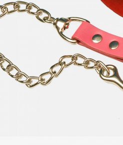 Leather Chain Leads